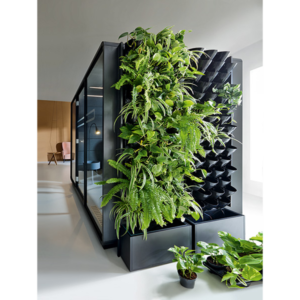 Green Wall - Hushoffice