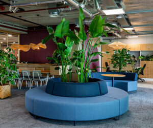 Biophilic-Design-biofilie-natuur-kantoorinrichting-kantooromgeving-interieur