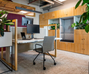 Biophilic-Design-biofilie-natuur-kantoorinrichting-kantooromgeving-interieur